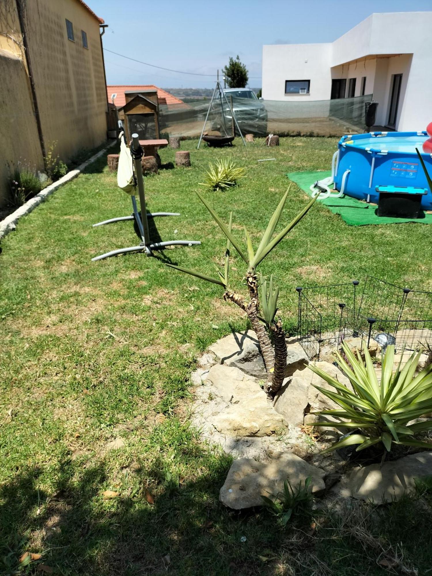 Dinocamp Konuk evi Lourinhã Dış mekan fotoğraf